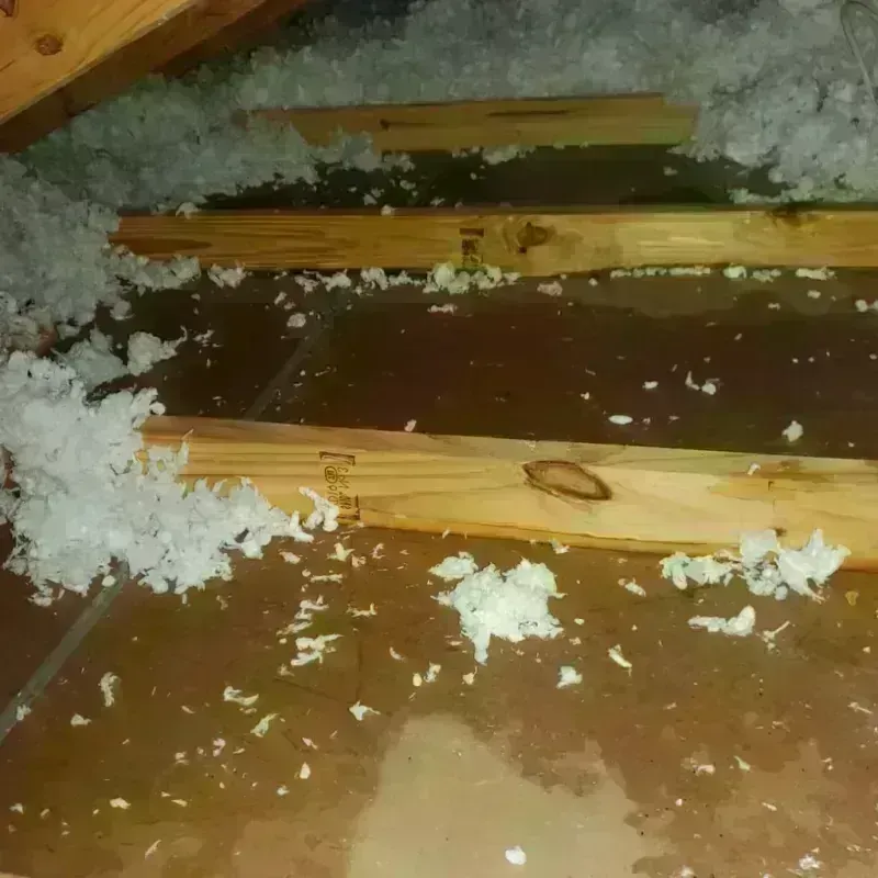 Attic Water Damage in Randolph County, IN