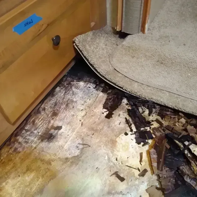 Best Wood Floor Water Damage Service in Randolph County, IN